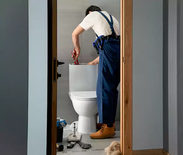 Professional Plumbers for Toilet Bowl Replacement in Mesquite, TX: Schedule Affordable Toilet Replacement Services With Us