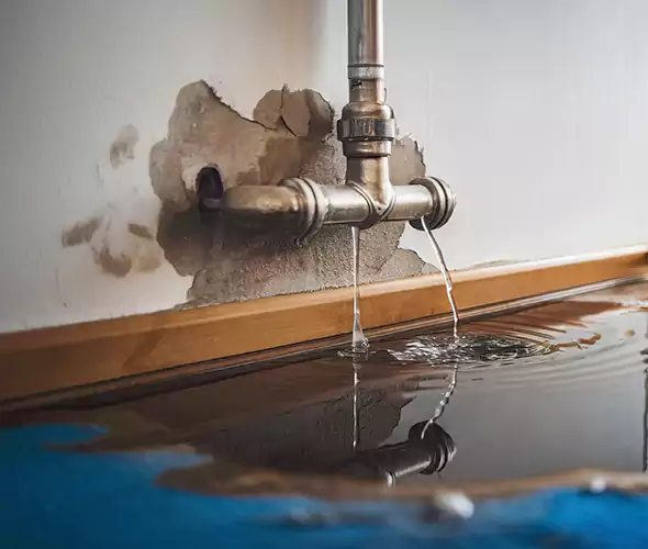 Professional Water Damage Restoration Experts in Mesquite, TX — Fast, Reliable & Certified