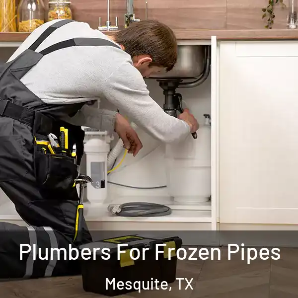  Plumbers For Frozen Pipes Mesquite, TX