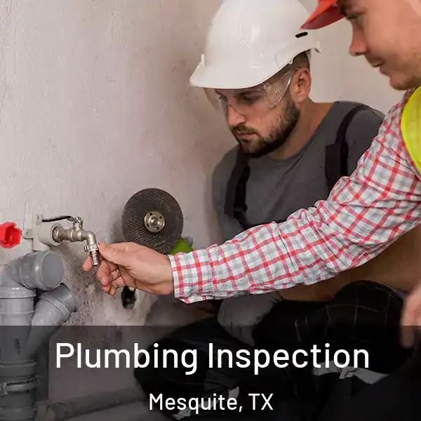  Plumbing Inspection Mesquite, TX