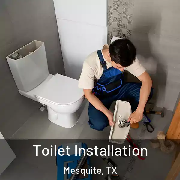  Toilet Installation Mesquite, TX